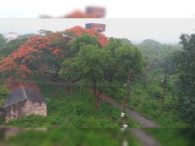 Rain