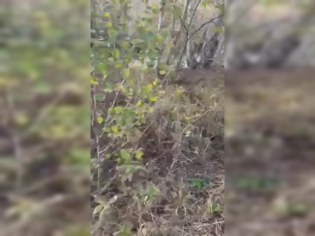 trim.B0EC7BF2-2E0C-491C-BF23-CD1980A3C11D.MOV