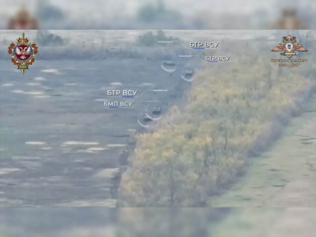 document_5384253448457822409.mp4