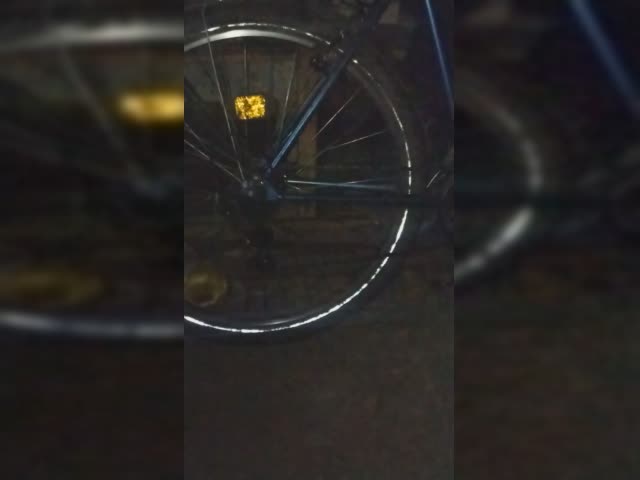 VID_20250402_140600012 cut.mp4