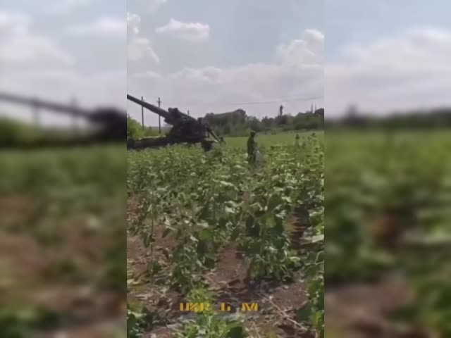 flyingurki