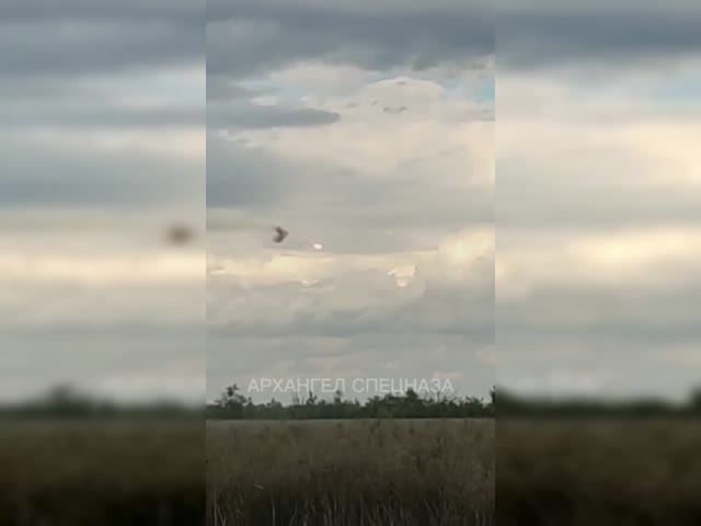 IMG_6888.mp4