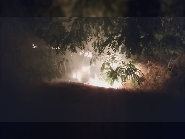 merged video_1.mp4