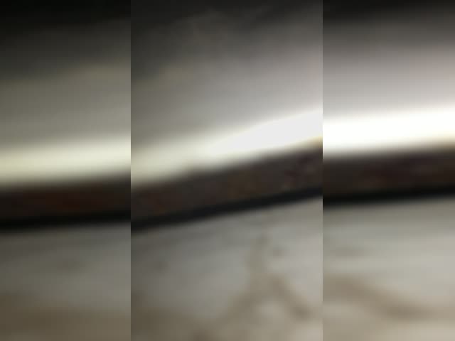 VID_20221212_110214_615.mp4.mov
