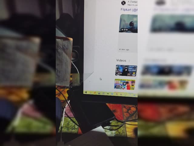 Acer dead insect inside panel