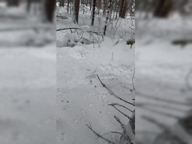 -1412371304184817465.mp4