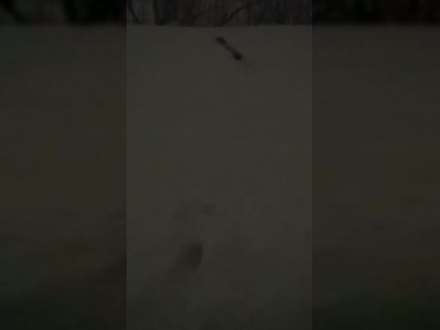 VID_20230302_210653.mp4
