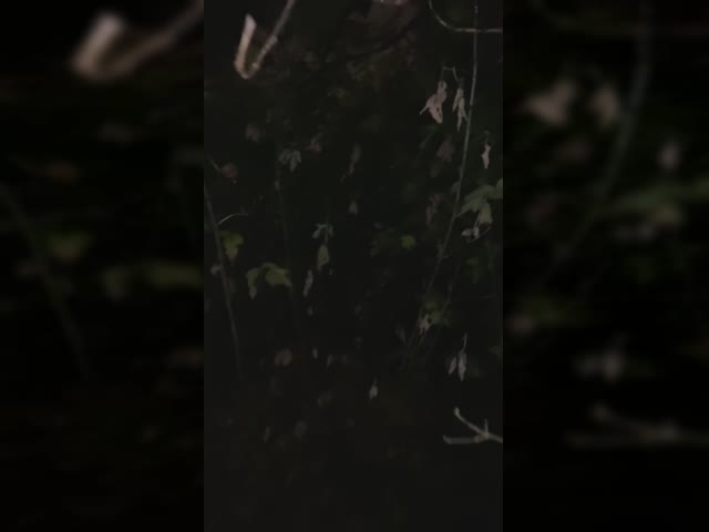 Для Рудры