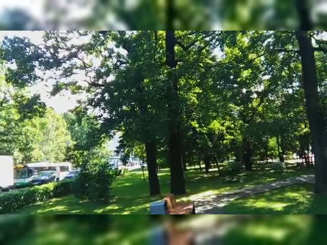 IK9QB (1).mp4