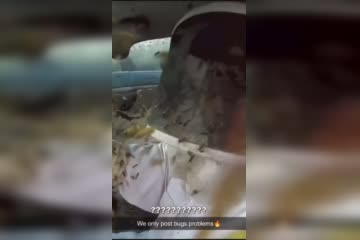 aE0AGXK_460sv.mp4
