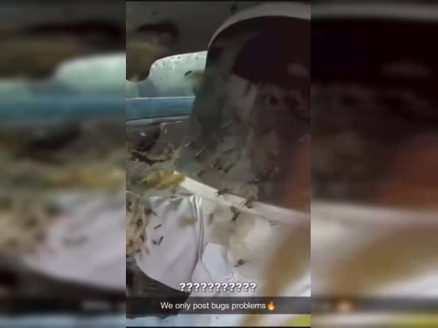 aE0AGXK_460sv.mp4