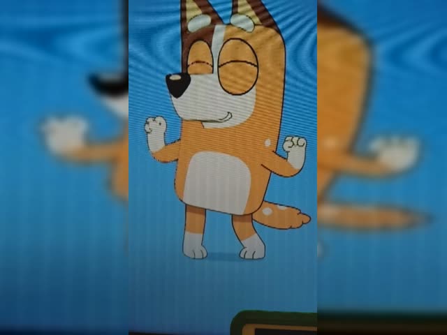 bluey intro flicker