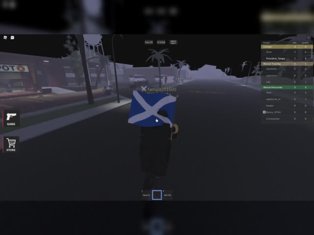 Am Pro