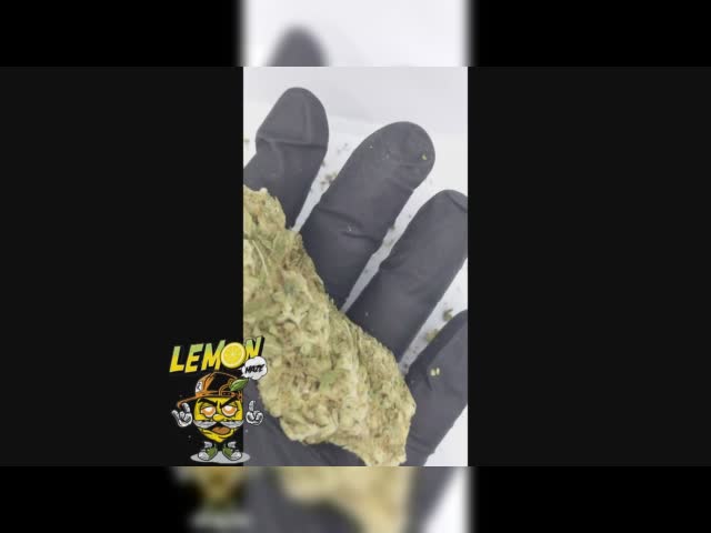 untitled_47_0.mp4