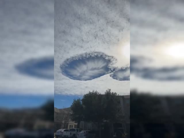 aGEE755_460sv.mp4
