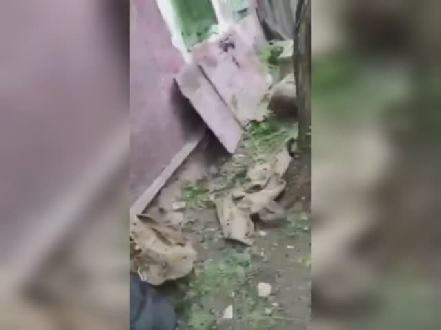kisagunbereketi