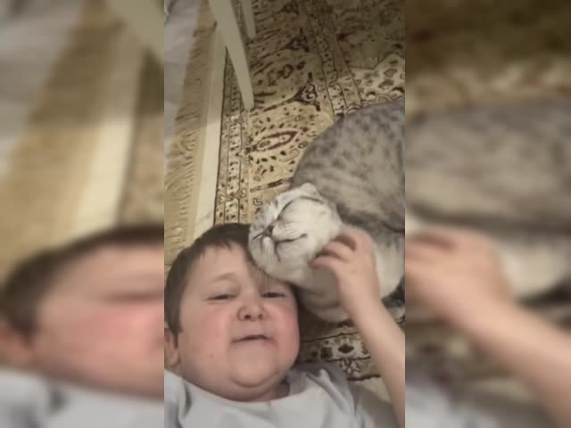 Barsik 2.mp4
