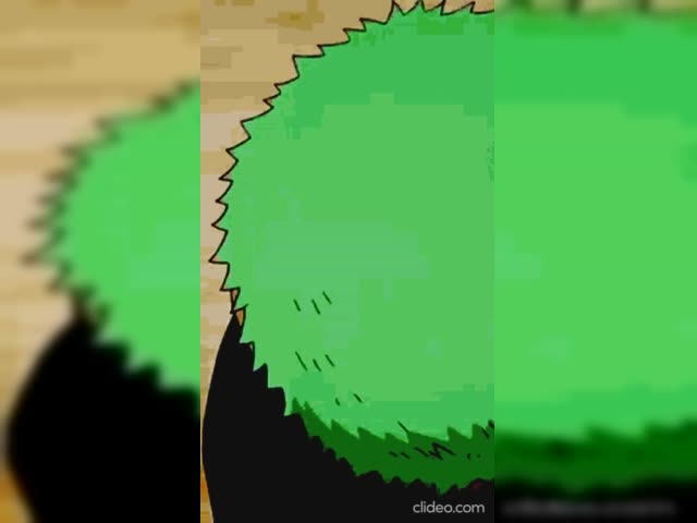 Zoro Edit