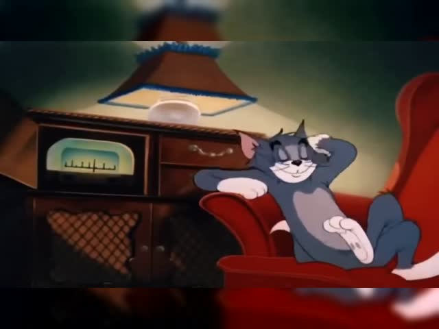 tom vibing