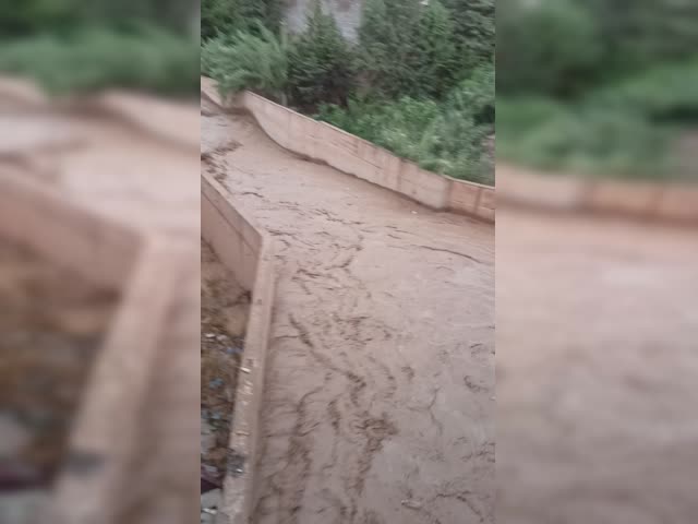 VID_20220705_025901.mp4