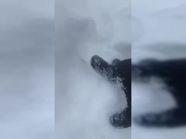 Не наход
