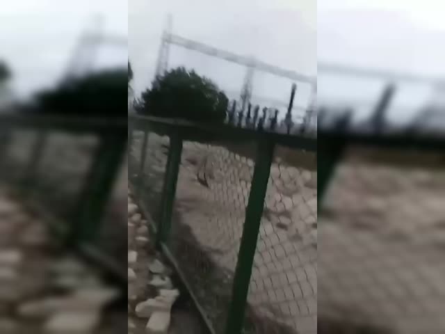 1(6).mp4