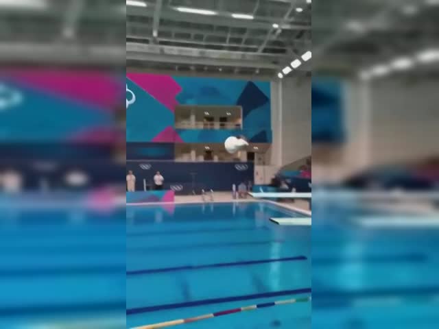 alaguagatos