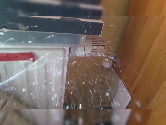 cool spider web