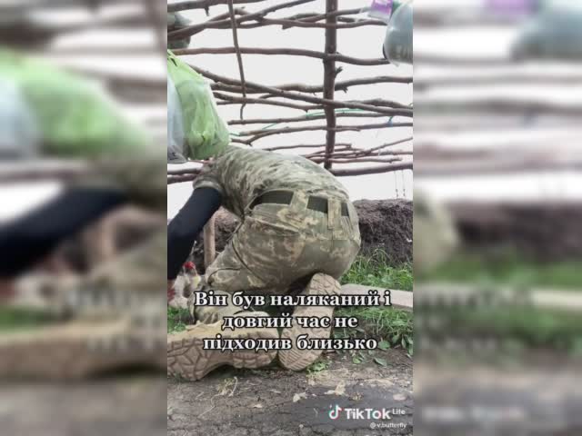 a5433feaff6710a14970.mp4