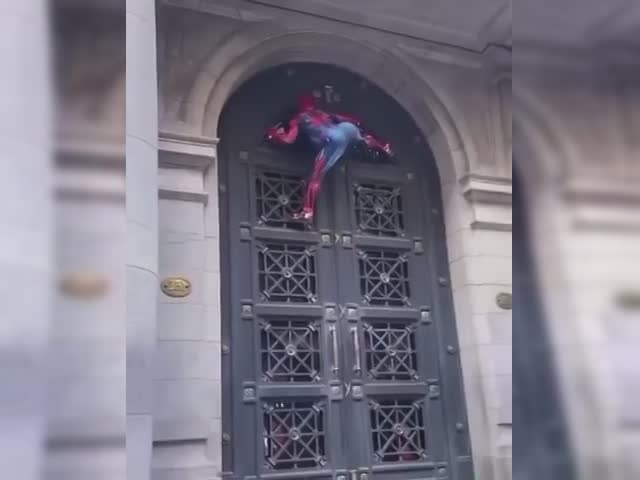 Spider Twerk