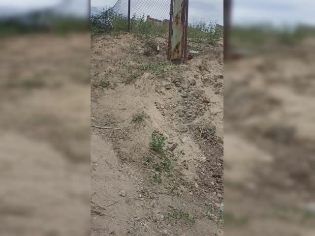 VID_20230512_124502.mp4