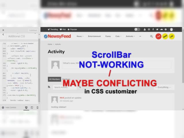 CSS CUSTOMIZER ScrollBar Conflict