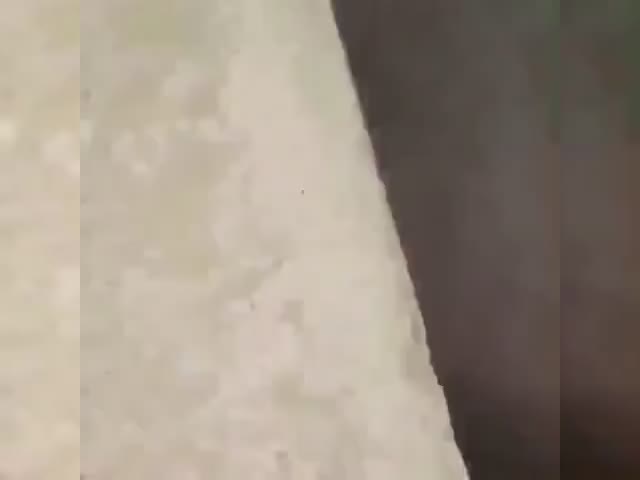 doom before pump
