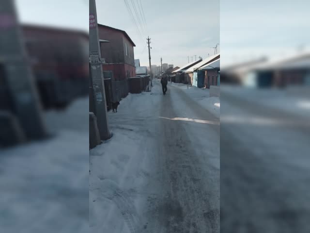 VID_20221128_150936.mp4