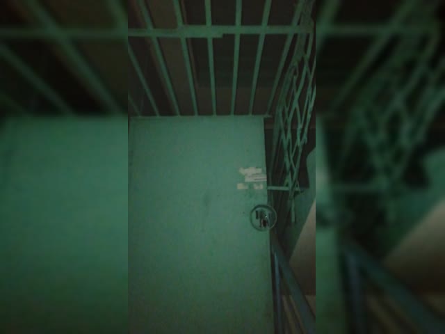 Video 4
