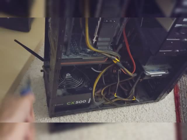 my computer haunted 11111hz