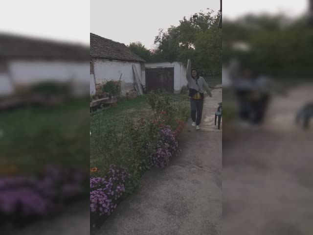 How to walk
