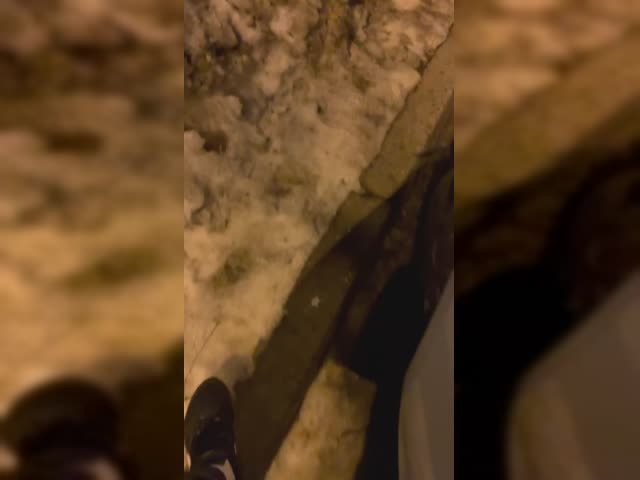 1.MOV