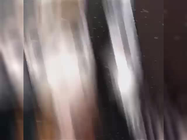 trim.69B8C826-B3AB-47F9-83EE-E05DCA9A5221.MOV