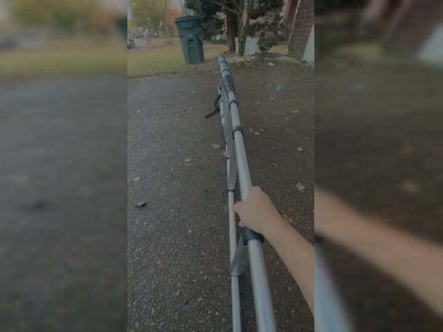 Ladder