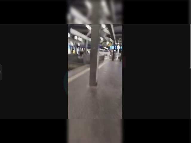 Ukranian criminal opens garbage bin in Erfurt Mainrailway station without authorizatio