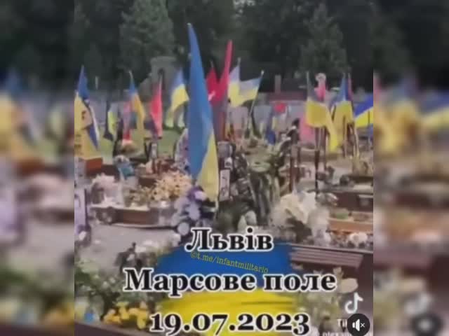 Ukrainsk minröjare tittar på gravar