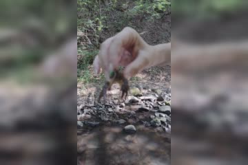 Crabby crab