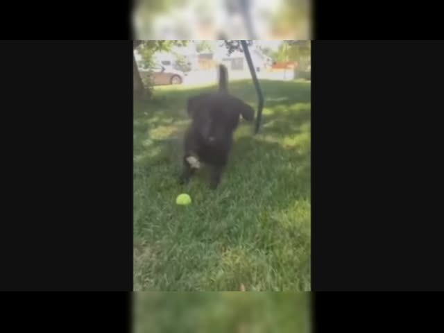 1000009867.mp4