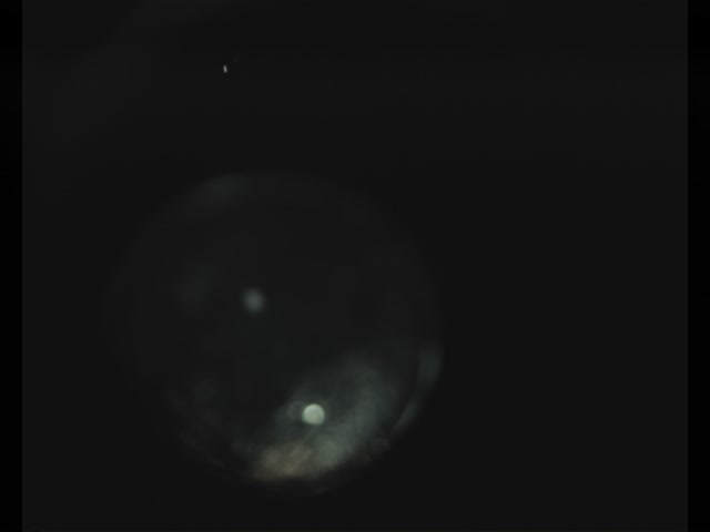 Droplet sample