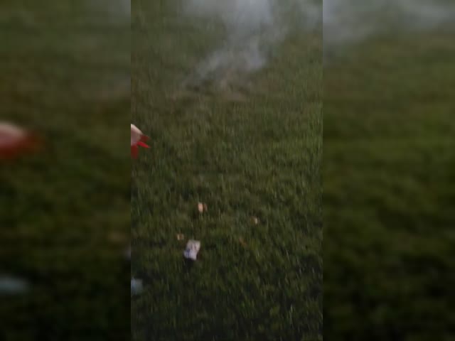 1000000238.mp4