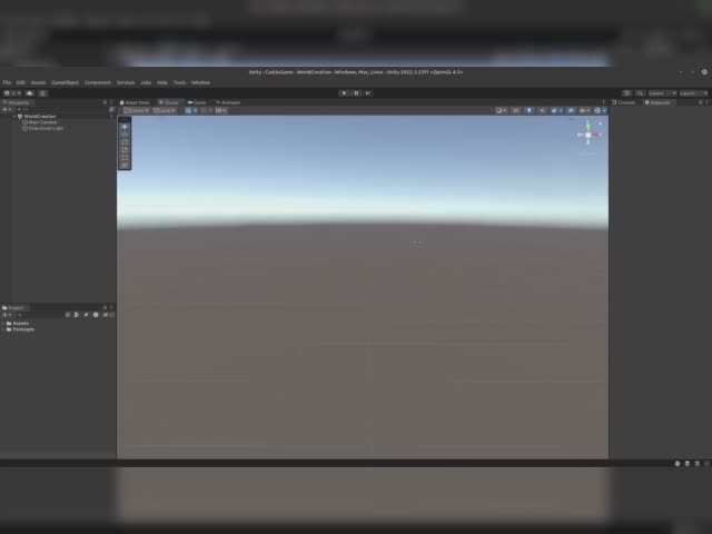 EmptyUnityProject