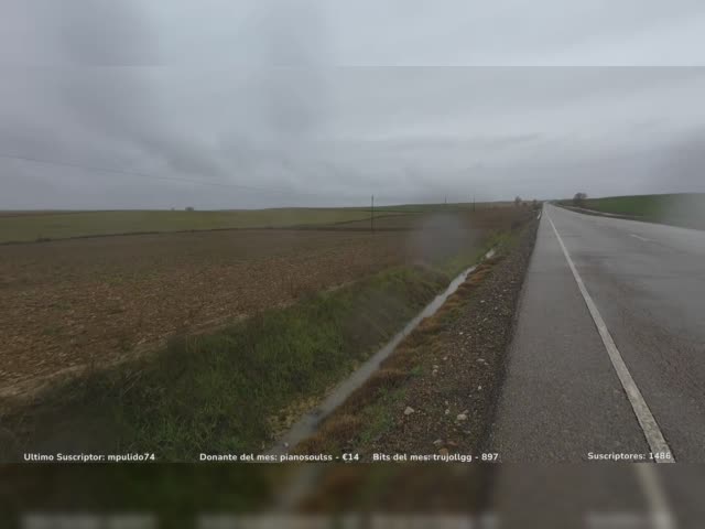 Camino en invierno