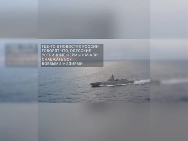 video_2022-04-14_21-02-32.mp4