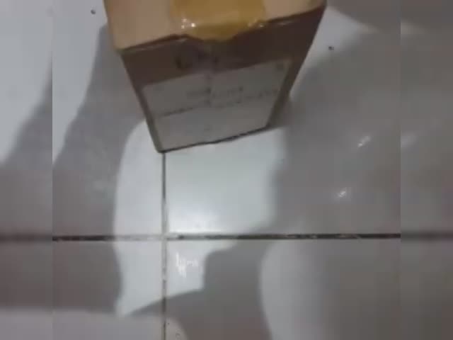 tmp_16726-YouCut_20221001_1827055341944297244.mp4